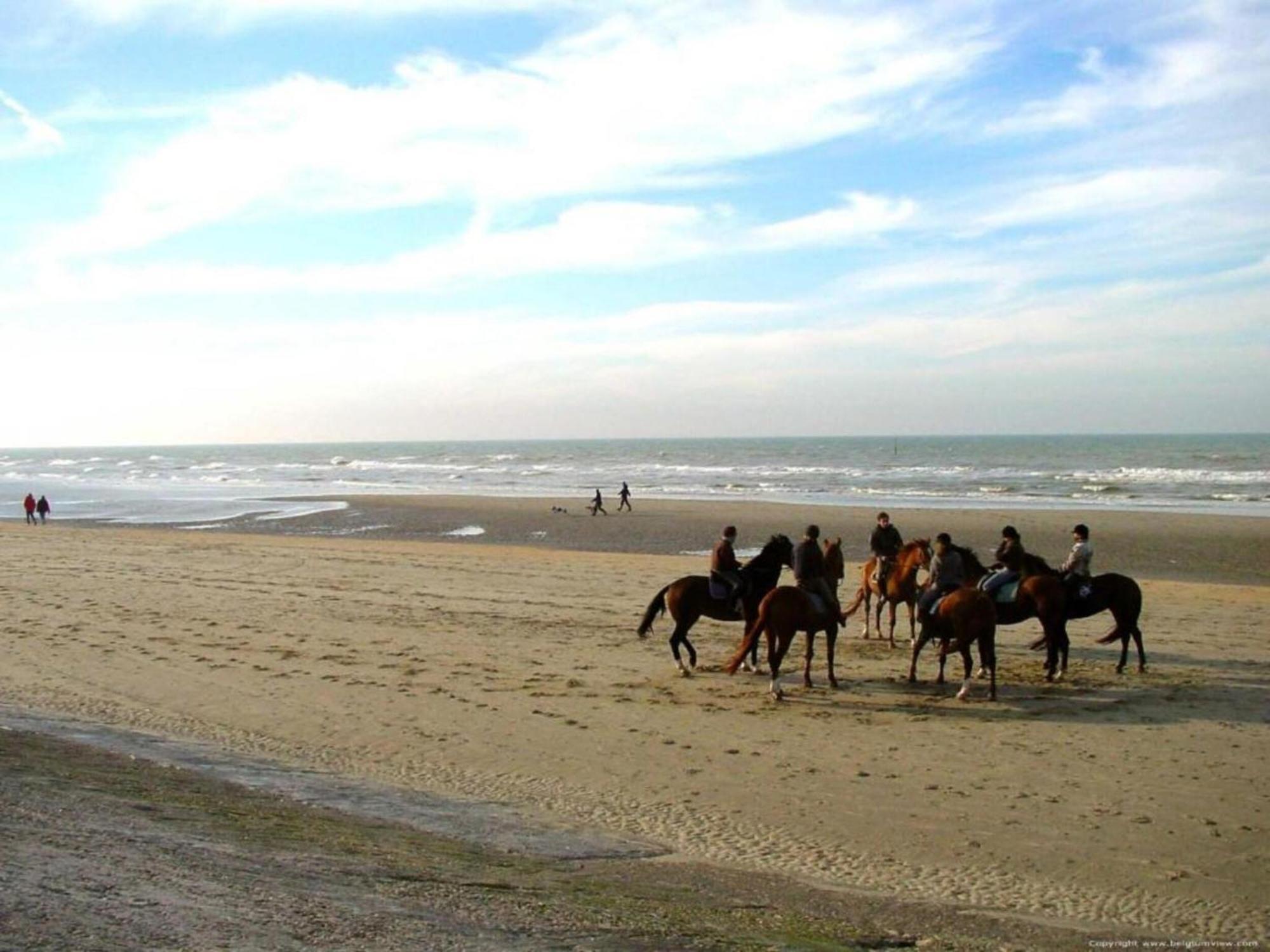 Appartement Mallorca In Blankenberge